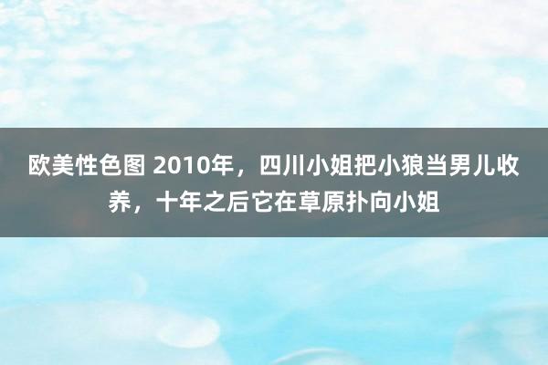 欧美性色图 2010年，四川小姐把小狼当男儿收养，十年之后它在草原扑向小姐