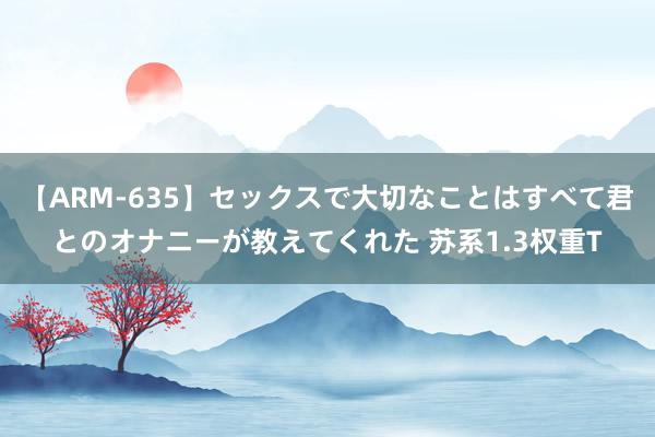 【ARM-635】セックスで大切なことはすべて君とのオナニーが教えてくれた 苏系1.3权重T