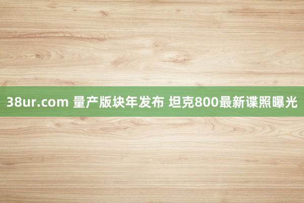 38ur.com 量产版块年发布 坦克800最新谍照曝光