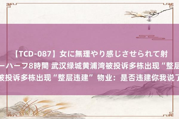 【TCD-087】女に無理やり感じさせられて射精までしてしまうニューハーフ8時間 武汉绿城黄浦湾被投诉多栋出现“整层违建” 物业：是否违建你我说了不算