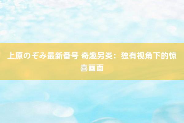 上原のぞみ最新番号 奇趣另类：独有视角下的惊喜画面