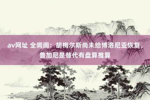 av网址 全阛阓：胡梅尔斯尚未给博洛尼亚恢复，鲁加尼是替代有盘算推算