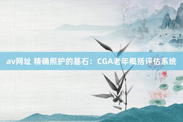 av网址 精确照护的基石：CGA老年概括评估系统