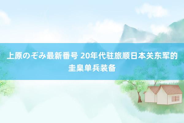 上原のぞみ最新番号 20年代驻旅顺日本关东军的圭臬单兵装备