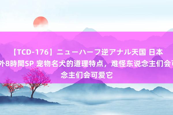 【TCD-176】ニューハーフ逆アナル天国 日本VS海外8時間SP 宠物名犬的道理特点，难怪东说念主们会可爱它