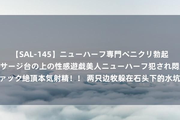 【SAL-145】ニューハーフ専門ペニクリ勃起エステ20人4時間 マッサージ台の上の性感遊戯美人ニューハーフ犯され悶絶3Pアナルファック絶頂本気射精！！ 两只边牧躲在石头下的水坑避暑，主东谈主差点没找到，简直机灵啊！