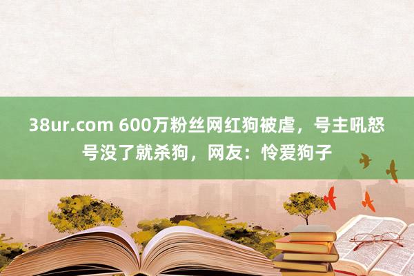 38ur.com 600万粉丝网红狗被虐，号主吼怒号没了就杀狗，网友：怜爱狗子