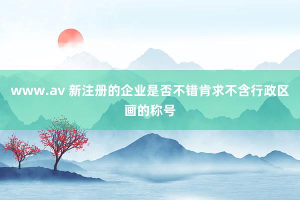 www.av 新注册的企业是否不错肯求不含行政区画的称号