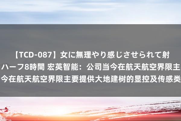 【TCD-087】女に無理やり感じさせられて射精までしてしまうニューハーフ8時間 宏英智能：公司当今在航天航空界限主要提供大地建树的显控及传感类的产物