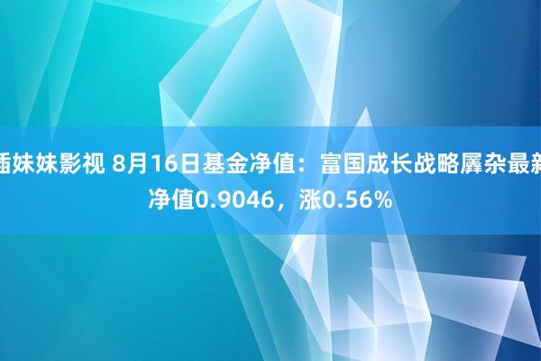 插妹妹影视 8月16日基金净值：富国成长战略羼杂最新净值0.9046，涨0.56%