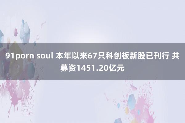 91porn soul 本年以来67只科创板新股已刊行 共募资1451.20亿元