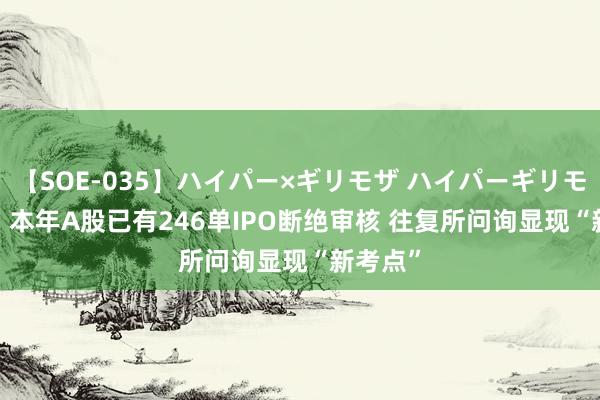 【SOE-035】ハイパー×ギリモザ ハイパーギリモザ Ami 本年A股已有246单IPO断绝审核 往复所问询显现“新考点”