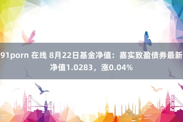 91porn 在线 8月22日基金净值：嘉实致盈债券最新净值1.0283，涨0.04%