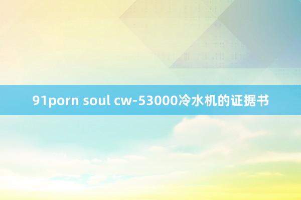 91porn soul cw-53000冷水机的证据书