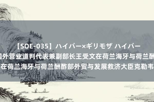 【SOE-035】ハイパー×ギリモザ ハイパーギリモザ Ami 商务部国外营业道判代表兼副部长王受文在荷兰海牙与荷兰酬酢部外贸与发展救济大臣克勒韦举行会道