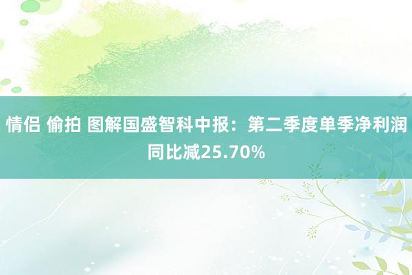 情侣 偷拍 图解国盛智科中报：第二季度单季净利润同比减25.70%