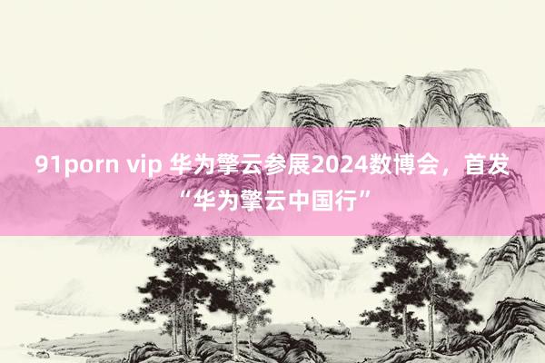 91porn vip 华为擎云参展2024数博会，首发“华为擎云中国行”