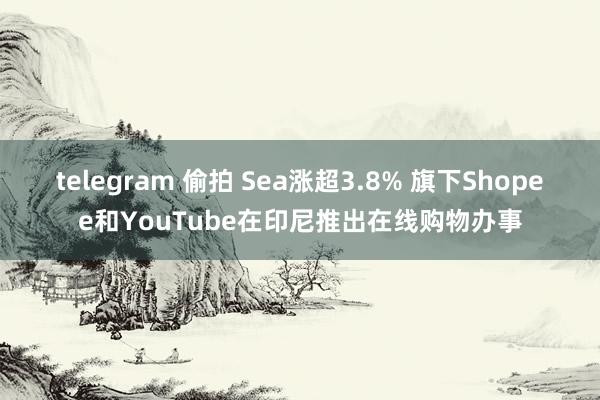 telegram 偷拍 Sea涨超3.8% 旗下Shopee和YouTube在印尼推出在线购物办事