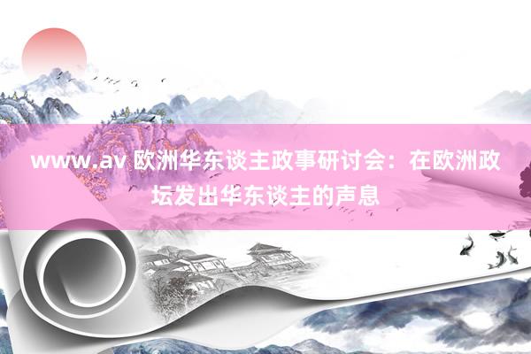 www.av 欧洲华东谈主政事研讨会：在欧洲政坛发出华东谈主的声息