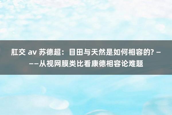 肛交 av 苏德超：目田与天然是如何相容的? ———从视网膜类比看康德相容论难题