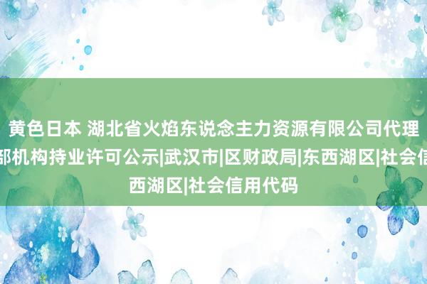 黄色日本 湖北省火焰东说念主力资源有限公司代理记账总部机构持业许可公示|武汉市|区财政局|东西湖区|社会信用代码