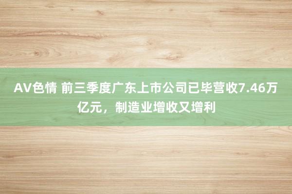 AV色情 前三季度广东上市公司已毕营收7.46万亿元，制造业增收又增利